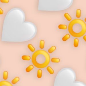 Meet your Posher, Ally